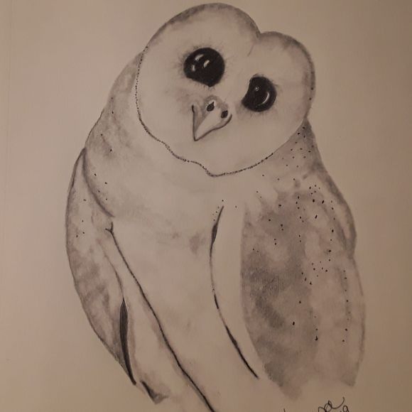 Meet your Posher, Teresa - Picture 1 of 1